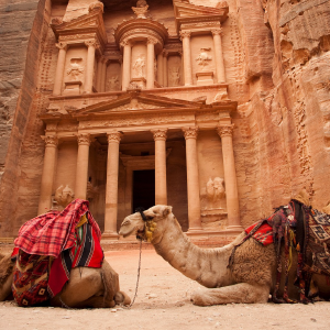 bing-camel