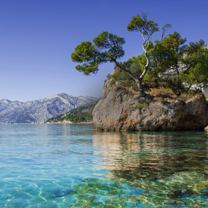 bing-rock-in-water